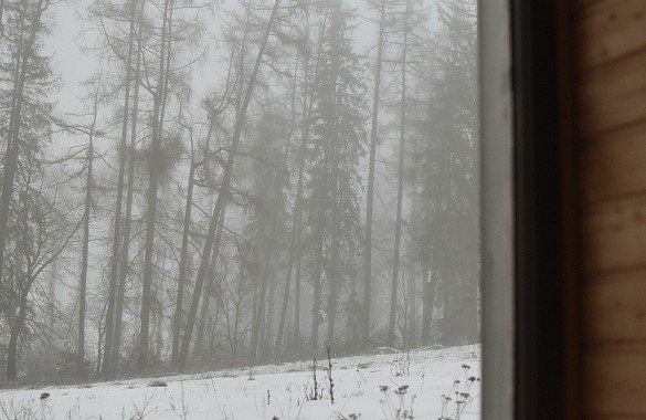 Finská sauna Modřínová Archa - foto 10